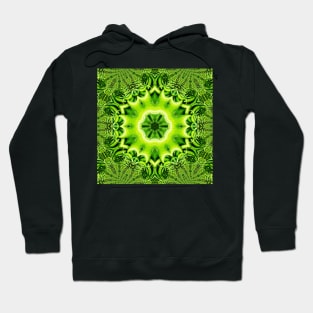 Vegetarian Kaleidoscope, Fruit Fantasy Patterns. 3 Green Peppers Hoodie